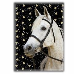 Pamiętnik błyszczący Horse 18-3660HS PASO