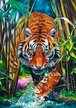 PUZZLE 1000 EL - Drapieżny tygrys, TREFL 10528 (2)