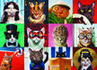 PUZZLE 1000 EL - Śmieszne koty, EUROGRAPHICS (2)
