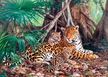 PUZZLE 3000 EL - Jaguary w Dżungli, CASTORLAND (2)