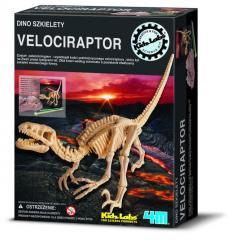 Wykopaliska - Velociraptor 4M (1)