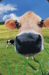 Mini kartka 3D Krowa (1)