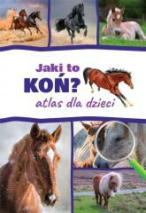 Atlas dla dzieci. Jaki to koń? (1)