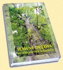 Sławne drzewa województwa śląskiego (1)