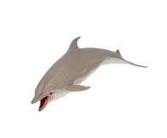 Gniotek Delfin (1)