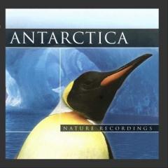 Antarctica. Nature Recordings (CD) (1)
