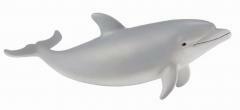 Delfin butlonosy młody (1)