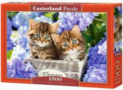 Puzzle 1500 Cute Kittens CASTOR (1)