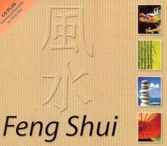 Feng Shui (1)