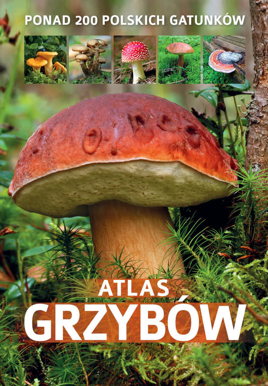 ATLAS GRZYBÓW ponad 200 polskich gatunków (1)