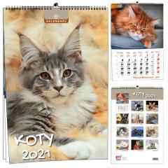 Kalendarz 2021 7 Plansz Koty EV-CORP (1)