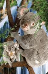 Mini kartka 3D Koala (1)