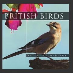 British Birds CD (1)