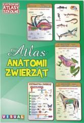 Ilustrowany atlas szkolny. Atlas anatomii zwierząt (1)