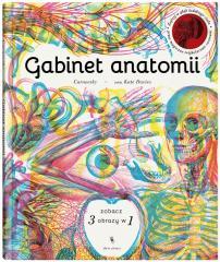 Gabinet anatomii (1)