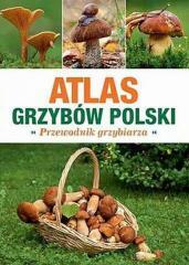 Atlas Grzybów Polski. Poradnik Grzybiarza (1)