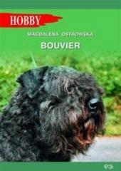 Bouvier (1)