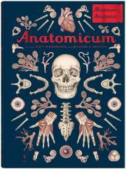 Anatomicum. Muzeum Anatomii (1)