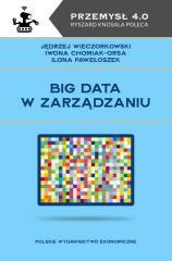 Big data w zarządzaniu (1)