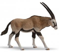 Antylopa Oryx (1)