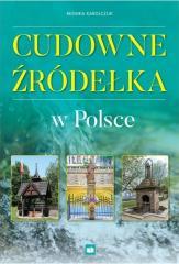 Cudowne źródełka w Polsce (1)