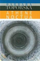 Athena noctua (1)