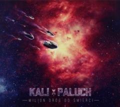 KALI i PALUCH - MILION DRÓG DO ŚMIERCI - Płyta CD (1)