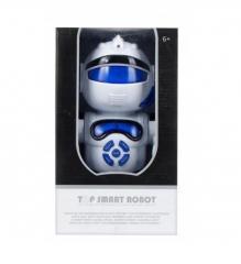 Robot (1)