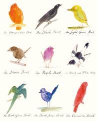 Karnet 17x14cm z kopertą Drawings of comic birds (1)