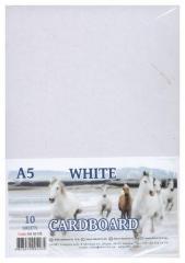Karton biały A5/10 arkuszy 230g/m2 FRESH (1)