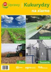 ABC uprawy kukurydzy na ziarno (1)