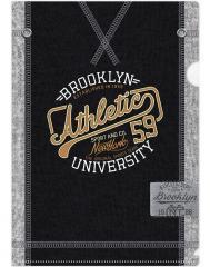 Obwoluta L Brooklyn university ARGUS (1)