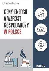 Ceny energii a wzrost gospodarczy w Polsce (1)