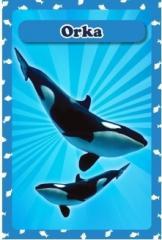 Karty Popup 3D - Zwierzęta morskie (1)
