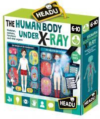 Ludzkie ciało HEADU (1)