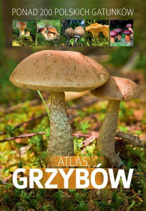 ATLAS GRZYBÓW - Ponad 200 polskich gatunków (1)
