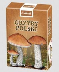 Karty - Przyroda Grzyby Polski TREFL (1)