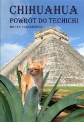 Chihuahua powrót do techichi (1)